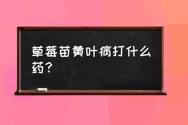 草莓叶黄用哪个叶面肥好 草莓苗黄叶病打什么药？