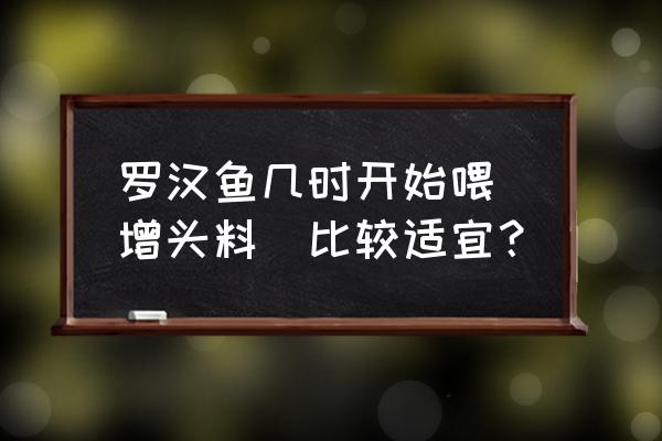 珍珠罗汉鱼多大喂饲料 罗汉鱼几时开始喂（增头料）比较适宜？