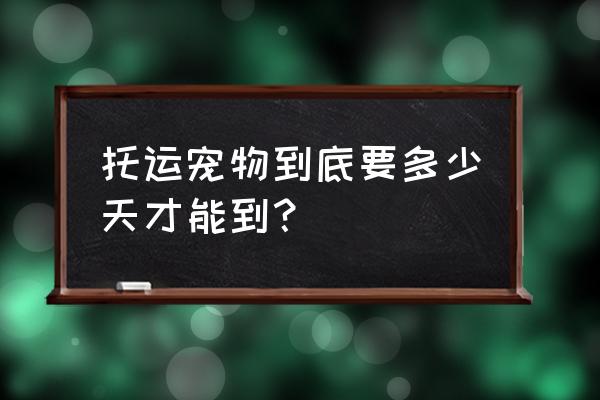 沈阳到宁波空运宠物多久到 托运宠物到底要多少天才能到？