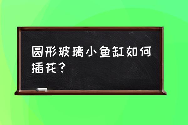 圆形鱼缸怎么插花 圆形玻璃小鱼缸如何插花？