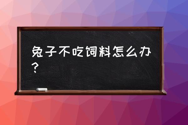 家兔不喜欢吃什么饲料 兔子不吃饲料怎么办？