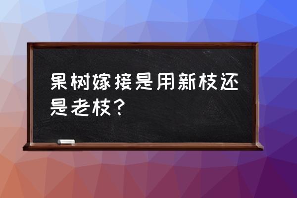 果树嫩枝嫁接一半的树枝吗 果树嫁接是用新枝还是老枝？