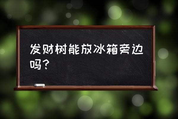 办公室冰箱上放发财树好吗 发财树能放冰箱旁边吗？