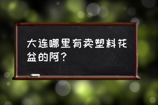 大连哪有批发花盆的 大连哪里有卖塑料花盆的阿？