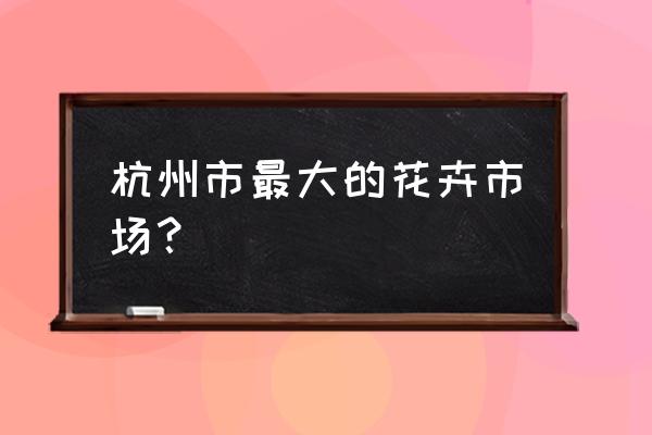 杭州哪里买多肉植物 杭州市最大的花卉市场？