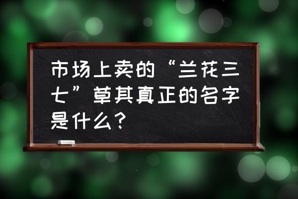 兰花三七每芽什么价 市场上卖的“兰花三七”草其真正的名字是什么？