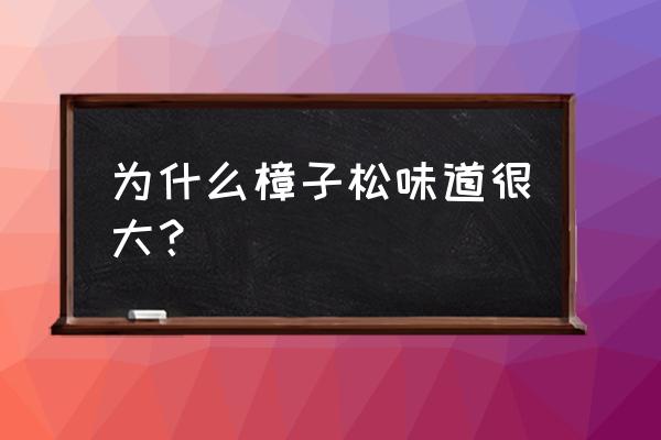 樟子松家具有香味吗 为什么樟子松味道很大？