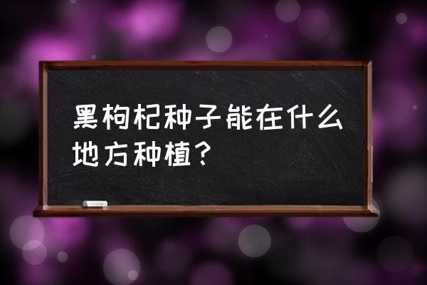 黑枸杞几月份种植技术 黑枸杞种子能在什么地方种植？