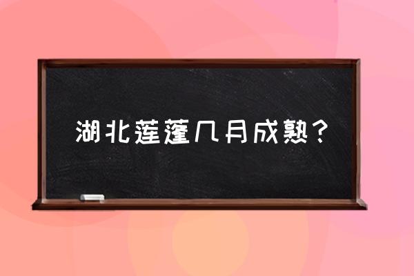 咸宁哪有莲蓬摘 湖北莲蓬几月成熟？