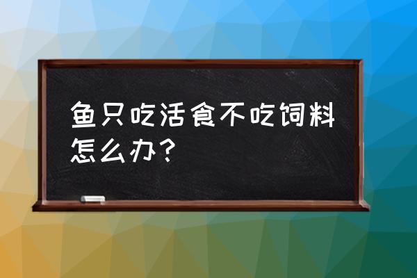 鱼不怎么吃饲料怎么回事 鱼只吃活食不吃饲料怎么办？