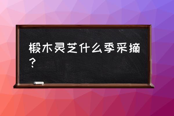 木头灵芝怎么采 椴木灵芝什么季采摘？