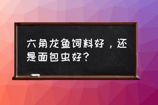 龙鱼吃什么活物好还是饲料好 六角龙鱼饲料好，还是面包虫好？