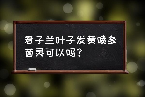 多菌灵可以喷君子兰叶子吗 君子兰叶子发黄喷多菌灵可以吗？