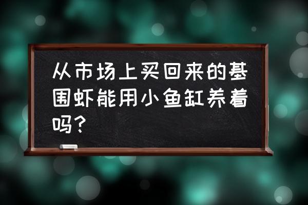 基围虾怎么在水缸养 从市场上买回来的基围虾能用小鱼缸养着吗？