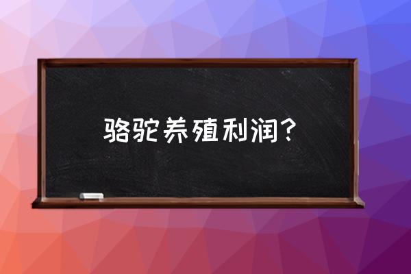 在巴州骆驼养殖场骆驼便宜吗 骆驼养殖利润？