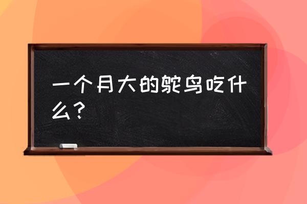 鸵鸟苗一个月吃什么饲料 一个月大的鸵鸟吃什么？