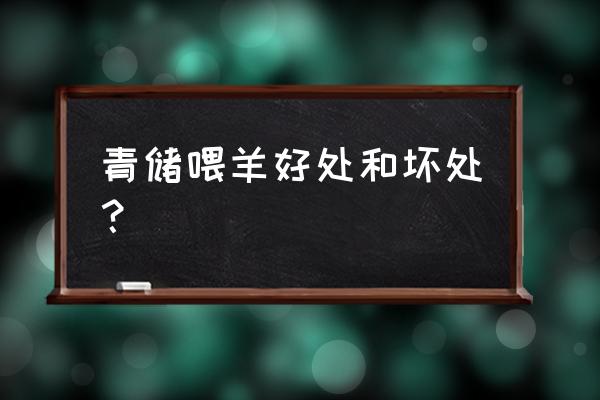 青的玉米秸秆养羊怎么样 青储喂羊好处和坏处？