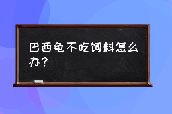 巴西龟怎么不吃饲料的 巴西龟不吃饲料怎么办？