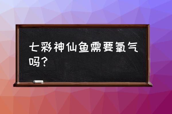 七彩燕鱼能不能喂人工饲料 七彩神仙鱼需要氧气吗? 七彩燕鱼能不能喂人工饲料 七彩神仙鱼需要氧气吗?