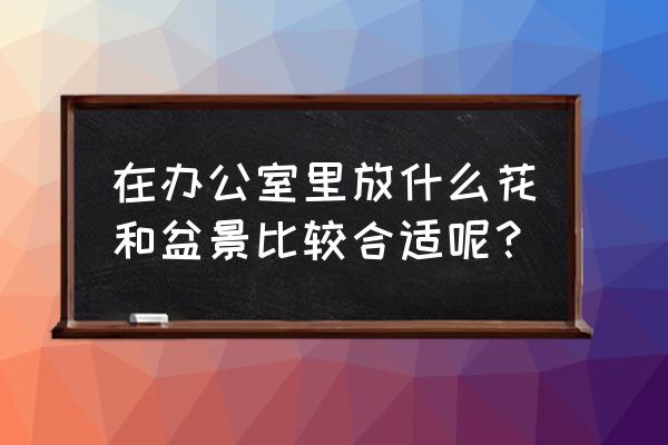 办公室里怎样使用盆景 在办公室里放什么花和盆景比较合适呢？