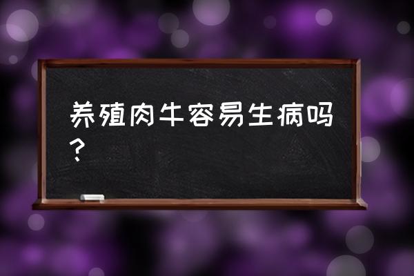 圈养牛容易生病吗 养殖肉牛容易生病吗？