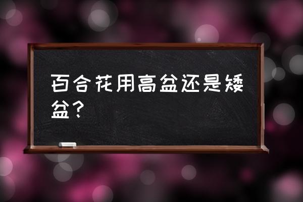 种百合花用哪种花盆好 百合花用高盆还是矮盆？