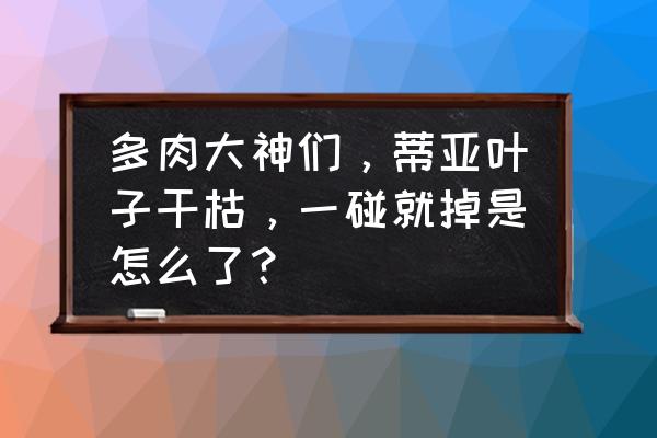 多肉植物火炎帝亚落叶是怎了 多肉大神们，蒂亚叶子干枯，一碰就掉是怎么了？