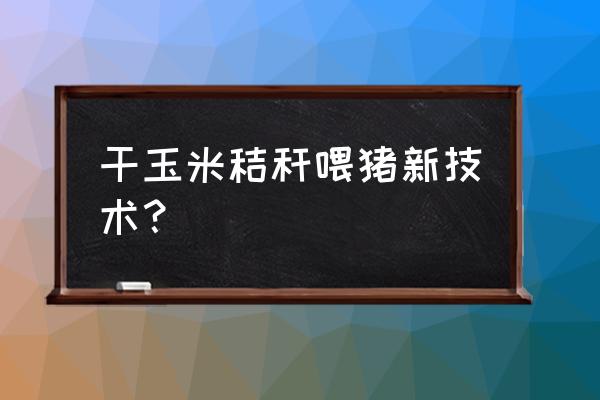 玉米结秆怎么养猪 干玉米秸秆喂猪新技术？