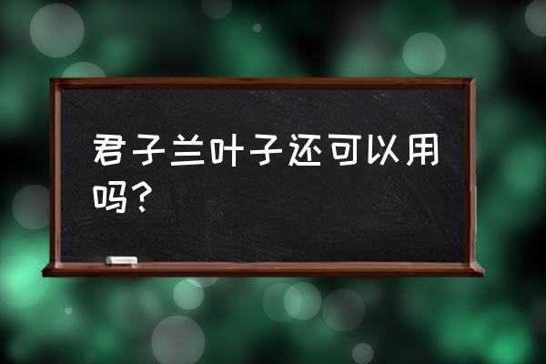 君子兰用叶片能插活吗 君子兰叶子还可以用吗？