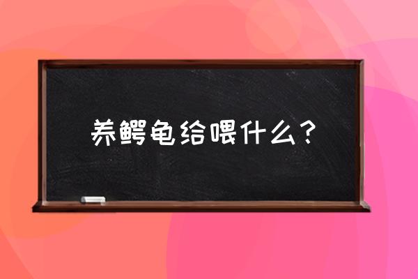 小鳄龟怎么喂食饲料 养鳄龟给喂什么？