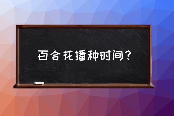 盆栽百合的种植方法几时种 百合花播种时间？