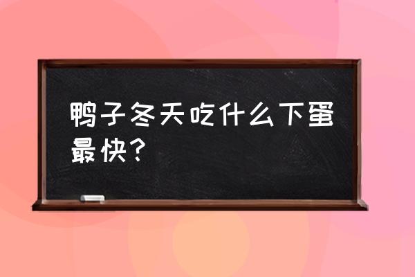 青蛙饲料能喂鸭吗 鸭子冬天吃什么下蛋最快？