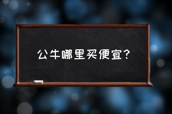 京东养猪合作电话 公牛哪里买便宜？