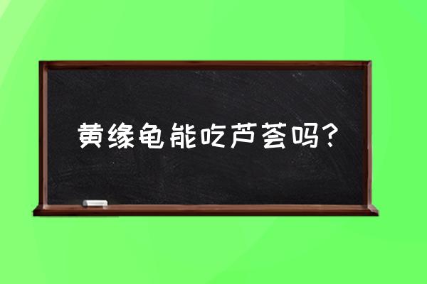 芦荟菜谱大全图片高清 黄缘龟能吃芦荟吗？