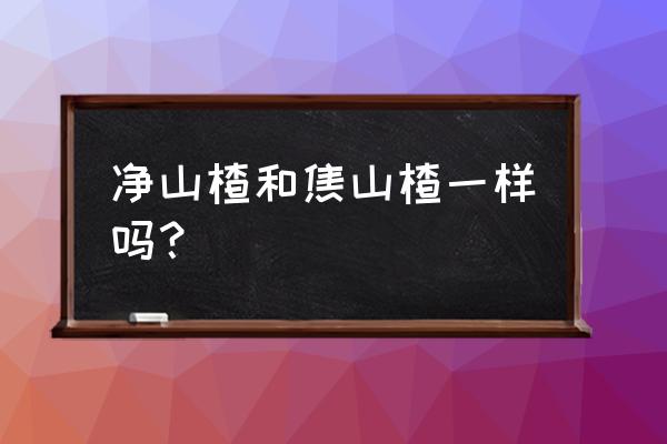 山楂表面为什么会有小斑点 净山楂和焦山楂一样吗？