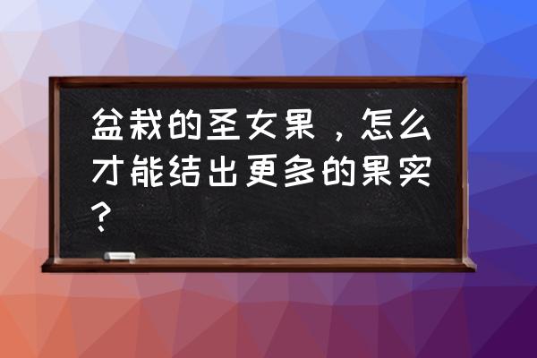 红宝石鱼幼苗怎么喂养 盆栽的圣女果，怎么才能结出更多的果实？