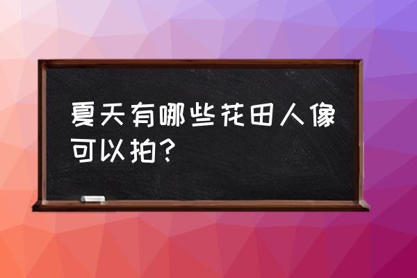 唯美花海背影女生 夏天有哪些花田人像可以拍？