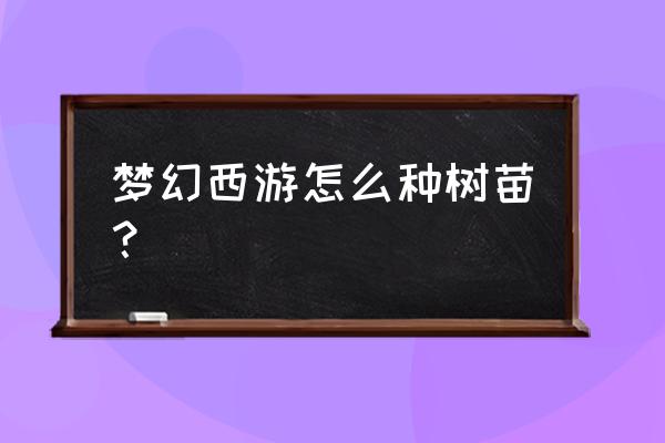 移栽苗木方式有几种 梦幻西游怎么种树苗？