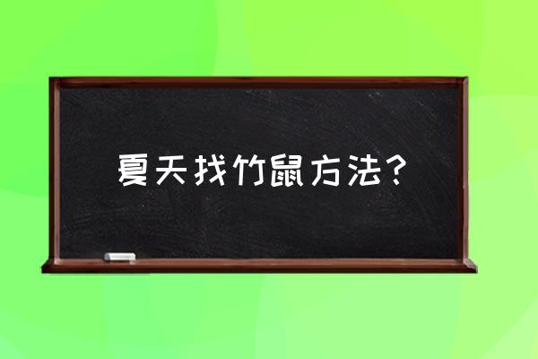 野生竹鼠有多少个洞口 夏天找竹鼠方法？