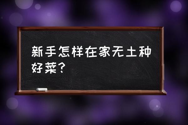 无土栽培蔬菜苗怎么培育 新手怎样在家无土种好菜？