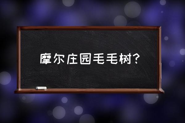 摩尔庄园手游肥料在哪里买 摩尔庄园毛毛树？