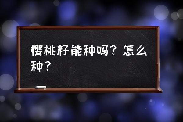 大樱桃籽种植方法 樱桃籽能种吗？怎么种？