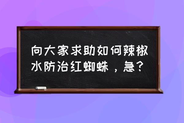 红蜘蛛的防治大全 向大家求助如何辣椒水防治红蜘蛛，急？