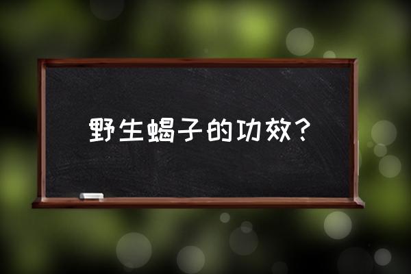 怎么判断山上有没有野生蝎子 野生蝎子的功效？