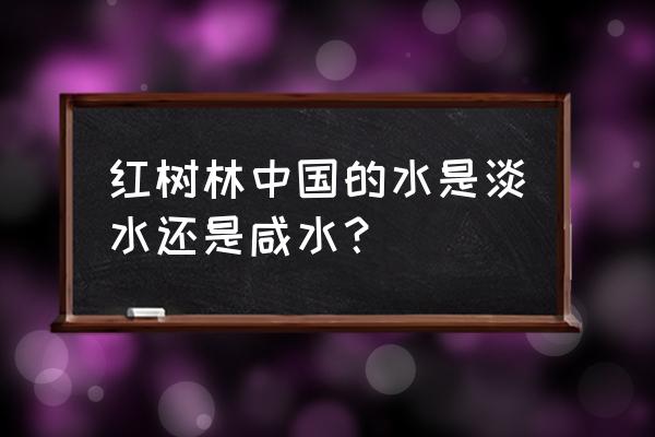 红树林的特点 红树林中国的水是淡水还是咸水？