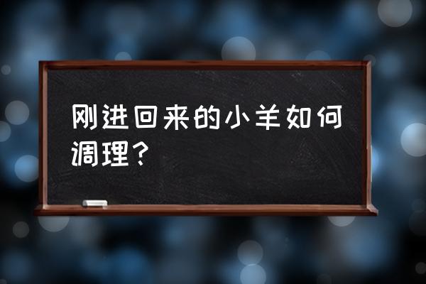 送小羊回家小游戏第2关怎么过 刚进回来的小羊如何调理？