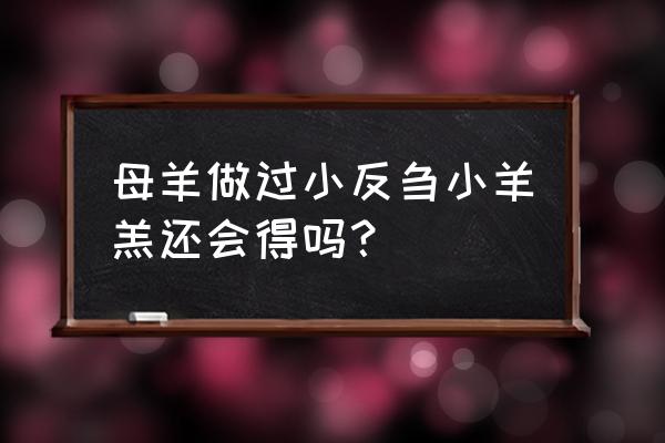 羊小反刍用这个方法治100%有效 母羊做过小反刍小羊羔还会得吗？