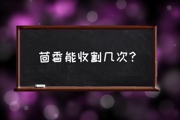 茴香在室内盆栽可以正常越冬吗 茴香能收割几次？