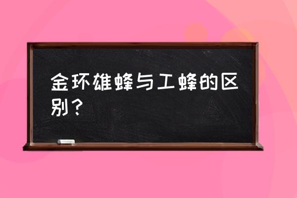 工蜂个头大点好还是小点好 金环雄蜂与工蜂的区别？