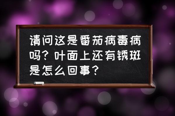 西红柿病毒病有偏方吗 请问这是番茄病毒病吗？叶面上还有锈斑是怎么回事？